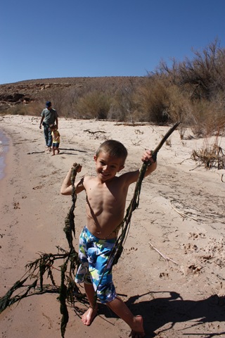 [GrandCanyontrip283.jpg]