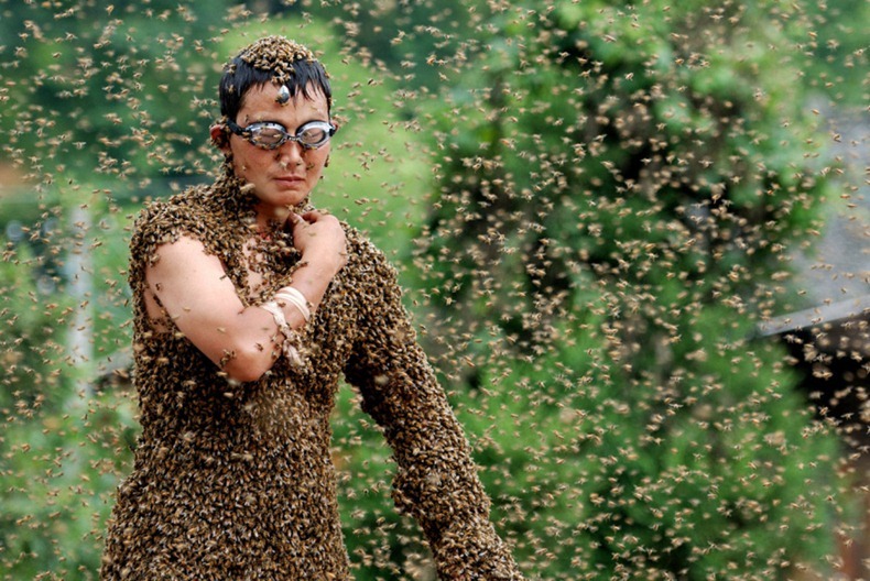 bee-attracting-comp6 bee-attracting-comp6