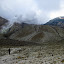 Dead trees at the edge of the crater