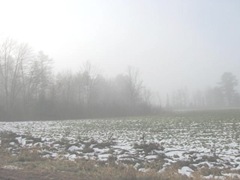 11.2011 Maine Otisfield foggy morning 11.2011 Maine Otisfield foggy morning