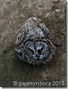 gwenynbore_nebulosa gwenynbore_nebulosa