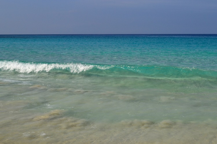 DSC_0468-1