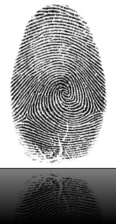 FINGERPRINT FINGERPRINT