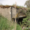 dsc00605.jpg