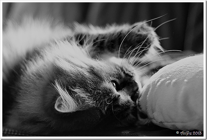 IMG_3083_DxO_2 IMG_3083_DxO_2