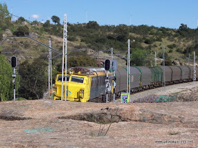 tren.jpg