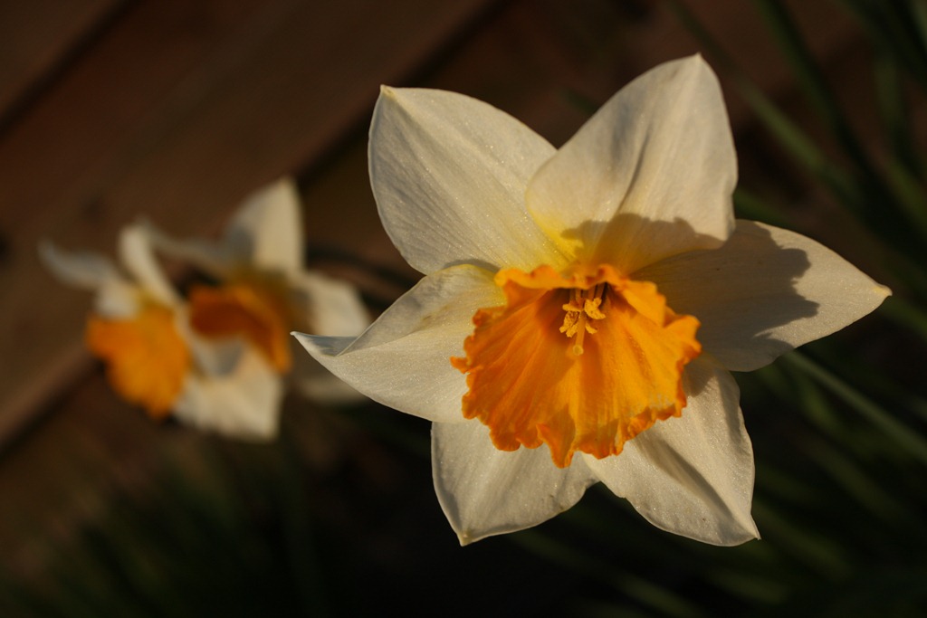 [IMG_6419%255B5%255D.jpg]