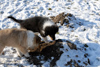 _DSC0019.JPG