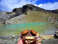 Tongariro-42