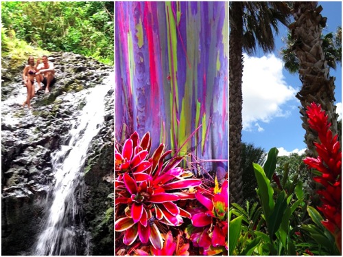 Hawai'i 1.jpg Hawai i 1