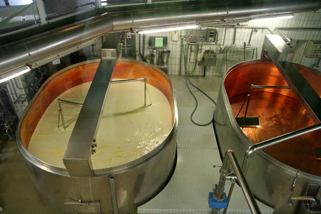 Production of cheese Production of cheese