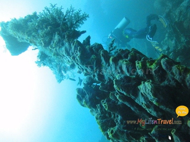 Diving Amed Bali 38 Diving Amed Bali 38