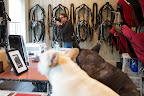 Sharkey, there's the photographer shooting all of the tack.