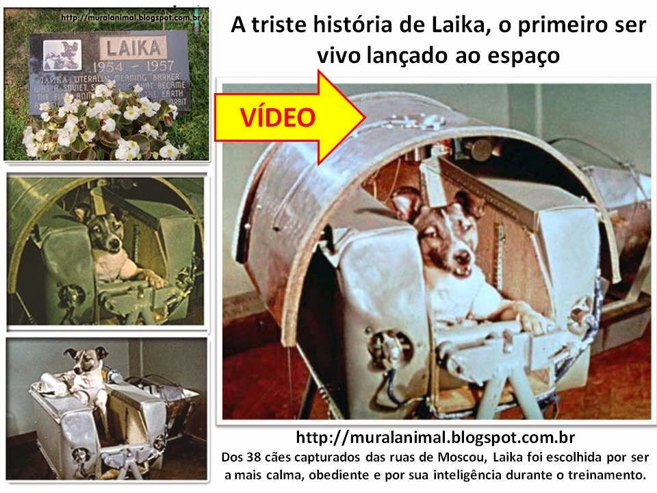 [A%2520triste%2520hist%25C3%25B3ria%2520de%2520Laika%255B3%255D.jpg]