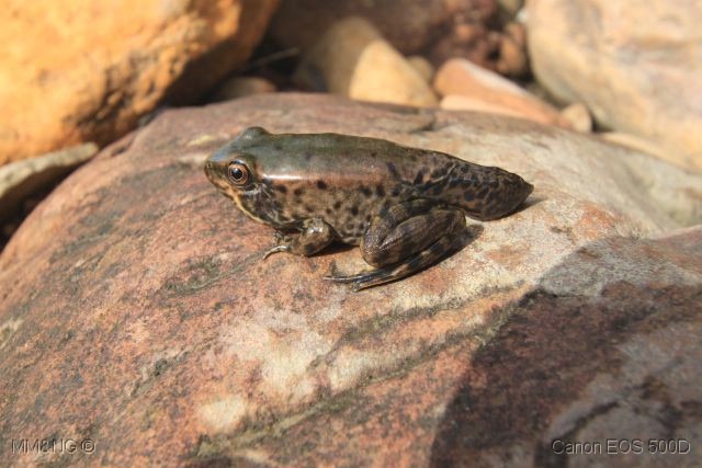 [IMG_2257%255B4%255D.jpg]