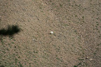 glacier_national_park_-_2009