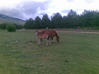 – 07-jun-2009 – 07-jun-2009