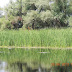 DSCN8129.JPG