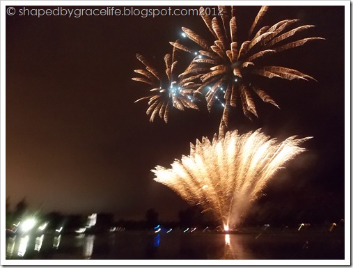 JulyFourth2012 039 JulyFourth2012 039