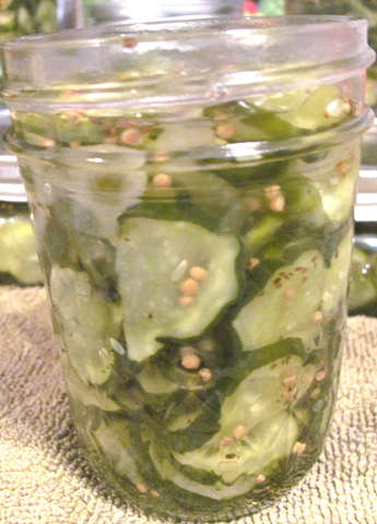 [B.B%2520pickles%2520packed%2520in%2520jar2%255B3%255D.png]