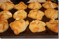 IMG_9819 IMG_9819