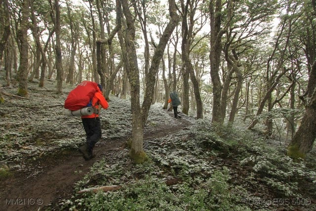 [IMG_6098%255B13%255D.jpg]