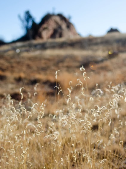 Garden of the Gods December-21