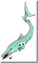 peces clipart blogcolorear (28)