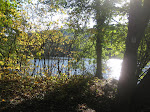 http://lh4.ggpht.com/-EdPURFelLI8/TqK9INqpduI/AAAAAAAACIg/7nw9ovekYtg/Saarland%252520%252528225%252529.JPG