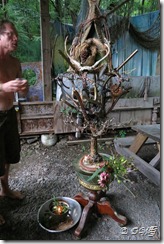 world tree world tree