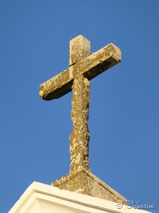 [P1000014%255B3%255D.jpg]