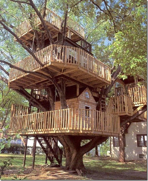 casa na arvore 4 casa na arvore 4