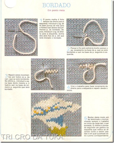 bordado em ponto peia