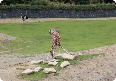 IMG_0963 IMG_0963