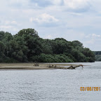 IMG_5551.JPG
