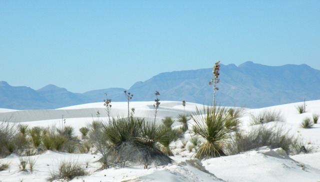 [White_Sands_National_Monument_07%255B2%255D.jpg]