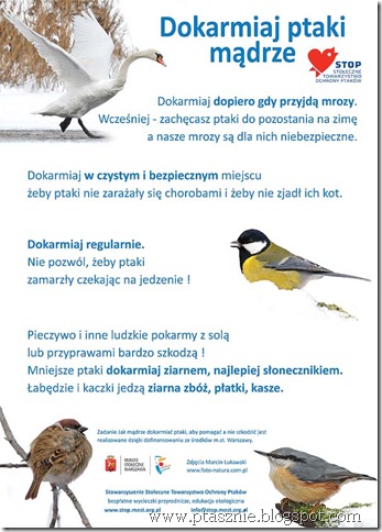 dokarmianie_plakat_duzy