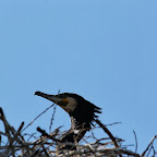 IMG_0883.JPG