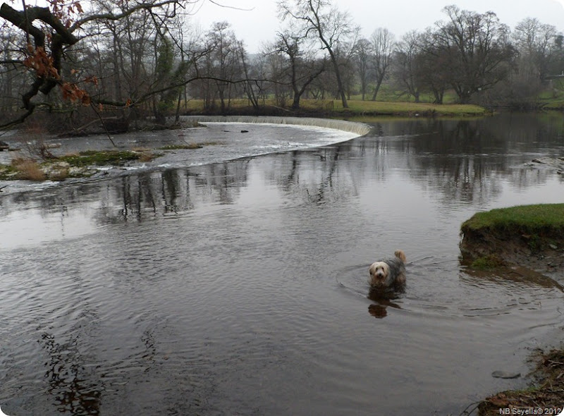 SAM_0014 Horseshoe Falls