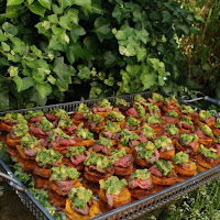Canapes.jpg