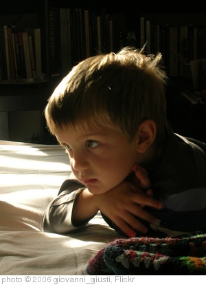 'Finbar watching TV' photo (c) 2006, giovanni_giusti - license: http://creativecommons.org/licenses/by/2.0/