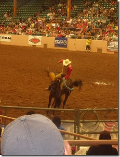 2011 Rodeo 014