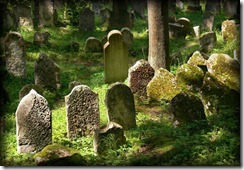 cementerio6
