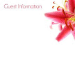 Guest Information