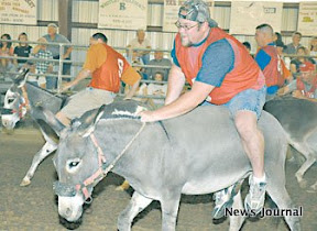 3 col donkey4.jpg