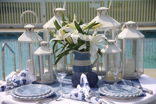 [Nantucket-Blues-0126.jpg]