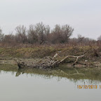 IMG_1526.JPG