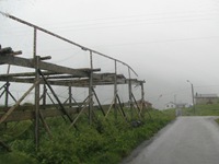 IMG_5571 IMG_5571