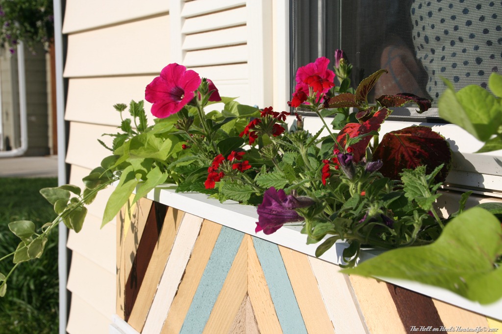 [flower%2520boxes%2520103%255B5%255D.jpg]