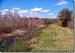 Barr Hammock Preserve 033